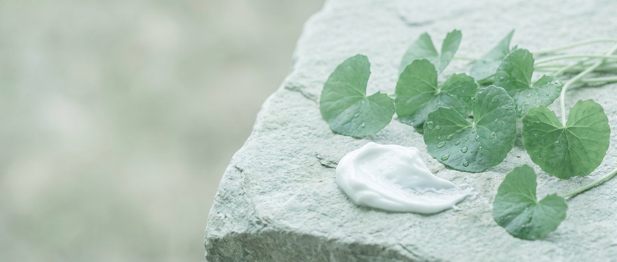 Centella-blaadjes en kalmerende crème