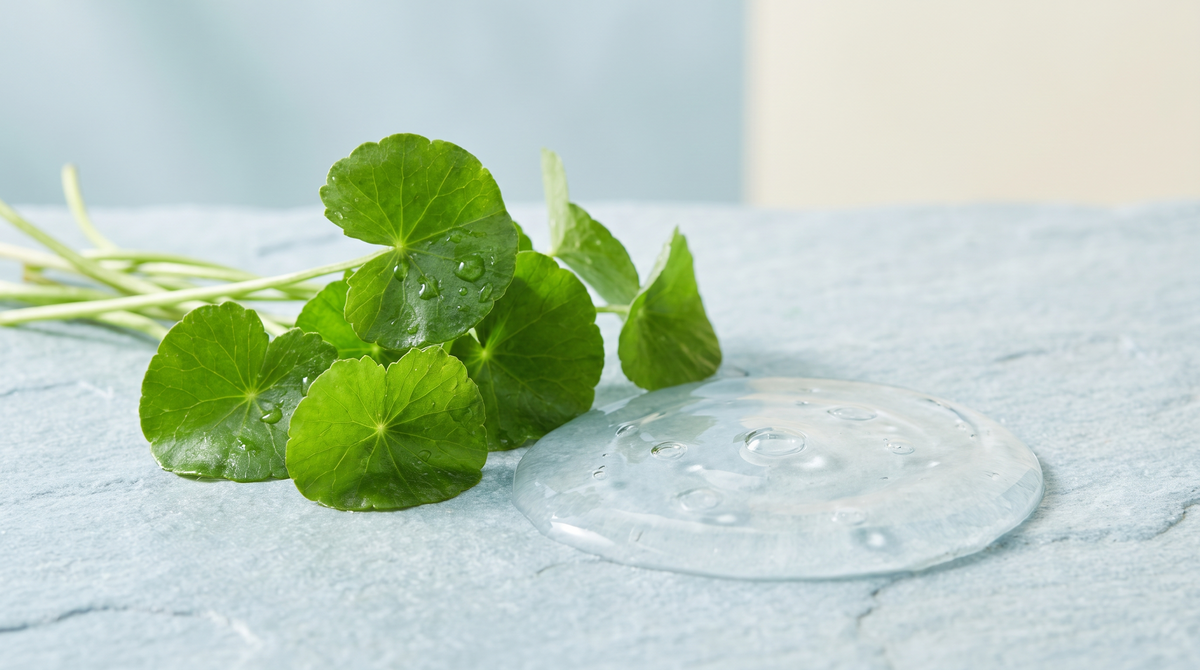 Centella-blaadjes naast een hydraterende gel op blauwgrijze steen