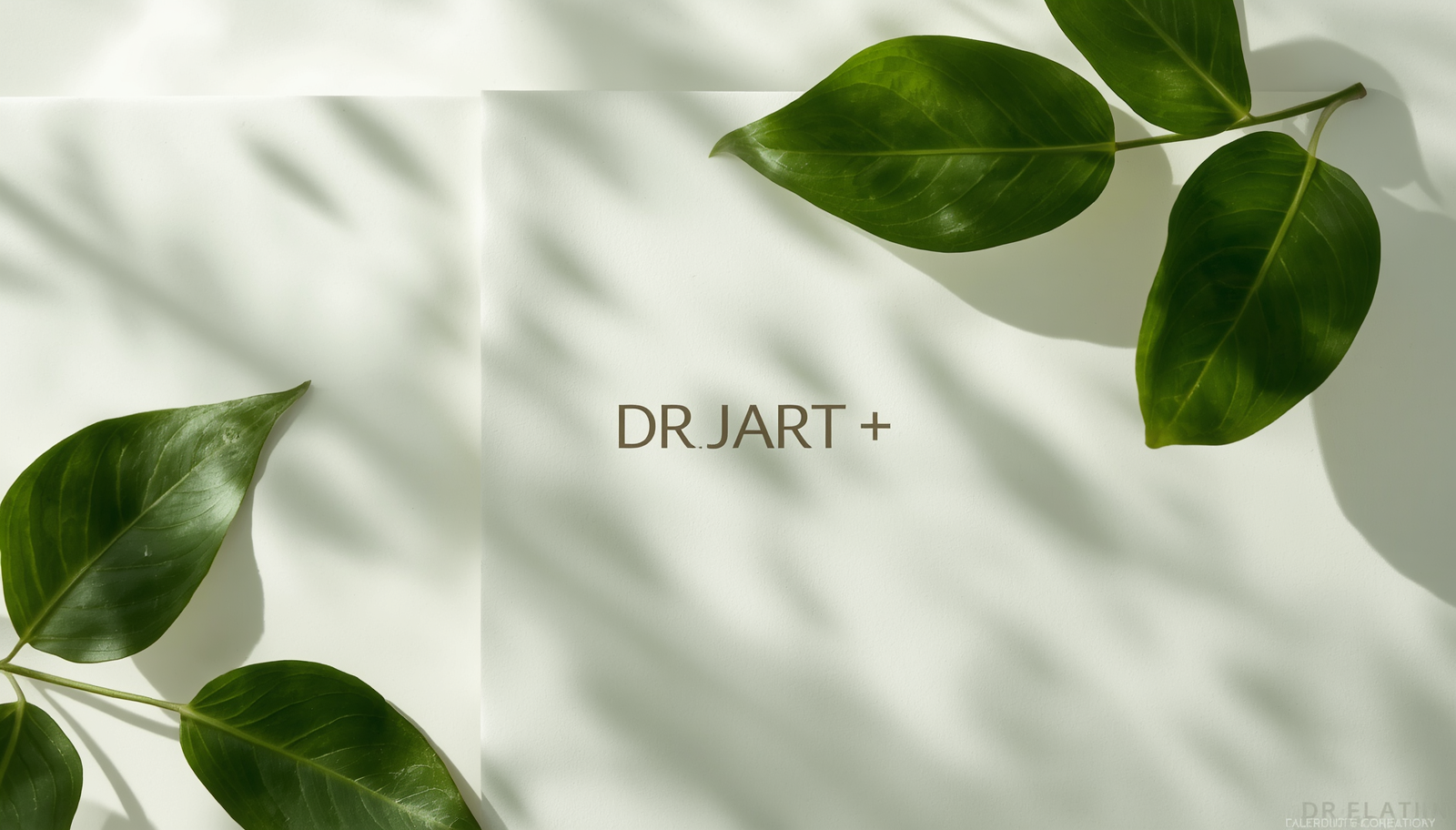 Dr.Jart+ — Koreaanse skincare collectie bij Korelle