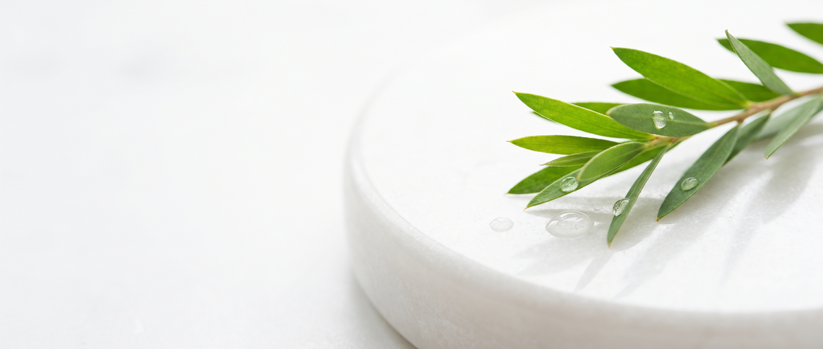 Tea tree-blaadjes met heldere gel